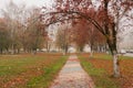 Late autumn. The path in the autumn Park, strewn with fallen lea Royalty Free Stock Photo