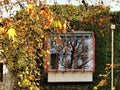 The late autumn scenery, golden buildings and yellow leaves of the University of Melbourne in the evening sun