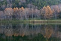 Late autumn scenery of Shiga Kogen Kido Pond. Royalty Free Stock Photo