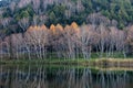 Late autumn scenery of Shiga Kogen Kido Pond. Royalty Free Stock Photo