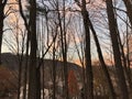 Sunset Through Trees with Background Village Houses Royalty Free Stock Photo