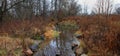 Late Autumn Woodland Scene with a Creek