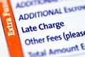 Late Charge item in a mortgage paymen