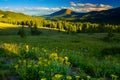 Late Evening Light Along Boreas Pass Royalty Free Stock Photo