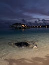 Late evening in the Maldives. Overwater villas with lights on, azure Indian Ocean waters with stingrays and little sharks swimming