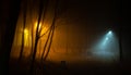 Night at the foggy park