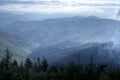 Late of the evening scenic on Clingman`s Dome in the Smokies.