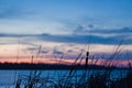 Dusk winter landscape, frozen lake, bulrush, blue and pink sky, deep blue clouds, winter, nature panorama background photo