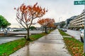 Late Fall Alki Sidewalk Royalty Free Stock Photo
