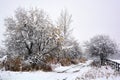 Late fall, early winter landscape Royalty Free Stock Photo