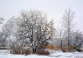 Late fall, early winter landscape Royalty Free Stock Photo