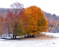 Late fall landscape  Bromont Quebec Royalty Free Stock Photo