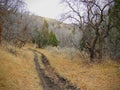 Late Fall panorama forest views hiking, biking, horseback trails through trees on the Yellow Fork and Rose Canyon Trails in Oquirr Royalty Free Stock Photo
