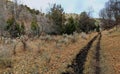 Late Fall panorama forest views hiking, biking, horseback trails through trees on the Yellow Fork and Rose Canyon Trails in Oquirr