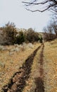 Late Fall panorama forest views hiking, biking, horseback trails through trees on the Yellow Fork and Rose Canyon Trails in Oquirr Royalty Free Stock Photo