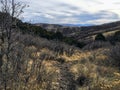 Late Fall panorama forest views hiking, biking, horseback trails through trees on the Yellow Fork and Rose Canyon Trails in Oquirr Royalty Free Stock Photo