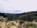 Late Fall panorama forest views hiking, biking, horseback trails through trees on the Yellow Fork and Rose Canyon Trails in Oquirr Royalty Free Stock Photo