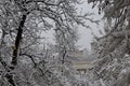 The late, heavy snowfall on the fallen branches of the trees