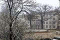 A late, heavy snowfall on the fallen tree branches