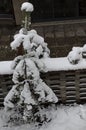 A late, heavy snowfall on the fallen tree branches