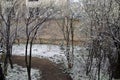 A late, heavy snowfall on the fallen tree branches