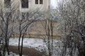 A late, heavy snowfall on the fallen tree branches