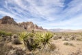 Late Night Trail, Mustang Loop, Red Rock Conservation Area, Southern Nevada, USA Royalty Free Stock Photo