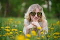 cute girl in sunglasses in grass with dandelions on the lawn Royalty Free Stock Photo