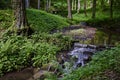 Idyllic cascade valley in forest of spa town Bad Kissingen Royalty Free Stock Photo