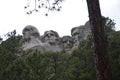 Late Spring in the South Dakota Black Hills: Mount Rushmore Seen in the Rain From Roosevelt Terrace Along the Presidential Trail Royalty Free Stock Photo