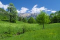 Late spring view of the alpine valley of Kobarid (Caporetto) Royalty Free Stock Photo