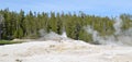 Spring in Yellowstone National Park: Bijou Geyser Plays and Mastiff Geyser Vents in the Giant Geyser Complex in Upper Geyser Basin