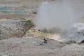 Late Spring in Yellowstone National Park: Black Growler Steam Vent Geothermal Feature in the Norris Geyser Basin