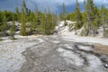 Spring in Yellowstone: Dormant Mushroom Geyser & Drainage from Unseen Emerald Geyser in the Back Basin Area of Norris Geyser Basin Royalty Free Stock Photo