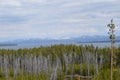 Spring in Yellowstone: Yellowstone Lake, Lake Butte, Cathedral Peak, Silvertip Peak and Avalanche Peak Seen from Grand Loop Road