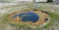 Spring in Yellowstone National Park: Liberty Pool Hot Spring in the Sawmill Group Drains into Firehole River in Upper Geyser Basin