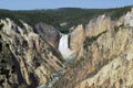 Spring in Yellowstone: Lower Yellowstone Falls in the Grand Canyon of the Yellowstone River Viewed From Artist Point Royalty Free Stock Photo