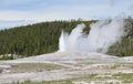 Late Spring in Yellowstone National Park: Old Faithful Geyser Eruption Winds Down in the Upper Geyser Basin Royalty Free Stock Photo