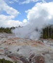 Spring in Yellowstone: Steam Plume Rises From the North Vent of Steamboat Geyser in the Back Basin Area of Norris Geyser Basin