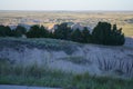 Late Spring in South Dakota: Wary and Alert Deer at Ancient Hunters Overlook Along Loop Road in Badlands National Park Royalty Free Stock Photo