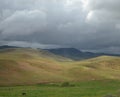 Late Spring in Southwestern Idaho: Lone Horse Grazes as Dark Skies Loom