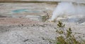 Late Spring in Yellowstone National Park: Overlooking Black Growler Steam Vent in the Norris Geyser Basin