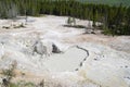 Late Spring in Yellowstone National Park: Sulphur Caldron Muddy Pool Along the Grand Loop Road