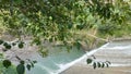 Late summer afternoon in Central Java Indonesia. panoramic view of the river and green forest. Royalty Free Stock Photo
