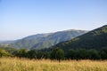 Beautiful alpine grassy meadow with clear sky above mountains and forest. Carpathian mountains, Ukraine Royalty Free Stock Photo