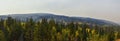 Late Summer early Fall panorama forest views hiking, biking, horseback trails through trees along Highway 40 near Daniels Summit b Royalty Free Stock Photo