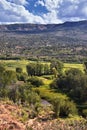 Late Summer early Fall panorama forest views hiking, biking, horseback trails through trees along Highway 40 near Daniels Summit b Royalty Free Stock Photo