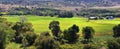 Late Summer early Fall panorama forest views hiking, biking, horseback trails through trees along Highway 40 near Daniels Summit b Royalty Free Stock Photo