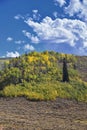 Late Summer early Fall panorama forest views hiking, biking, horseback trails through trees along Highway 40 near Daniels Summit b Royalty Free Stock Photo