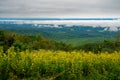 A Foggy View of the Shenandoah Valley Royalty Free Stock Photo